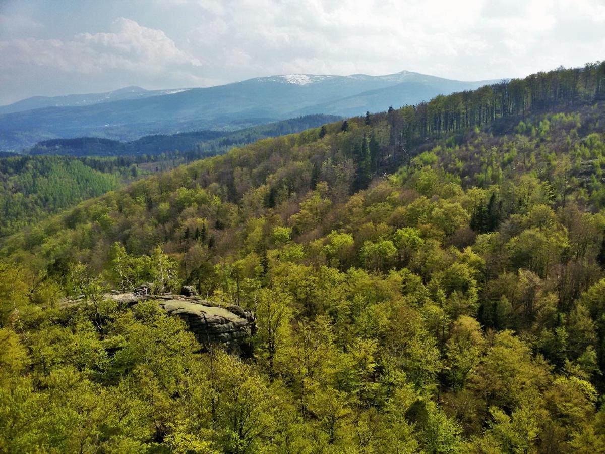 Drewniana Róża Willa Piechowice  Exterior foto